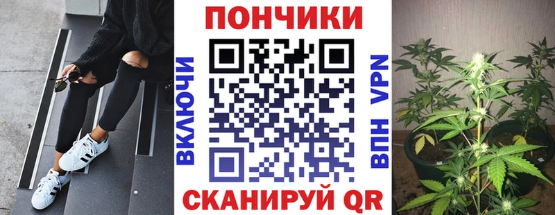 даркнет наркотические препараты купить закладку Алзамай Шишки марихуана MAZAR